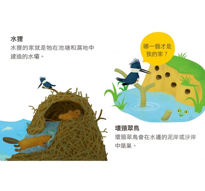 翻轉‧動物大地圖：一邊學一邊玩的折疊地圖書中書 Animal Atlas